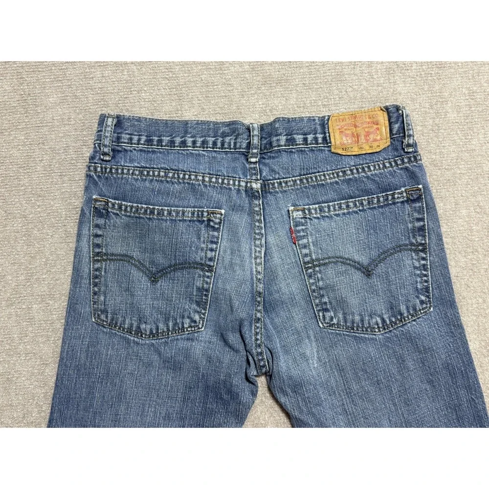 Levis levis 527
